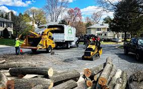 How Our Tree Care Process Works  in  South Wallins, KY